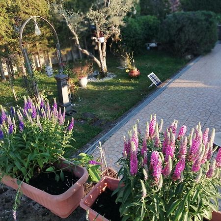 B&B Villa Milena Ariano Irpino Kültér fotó