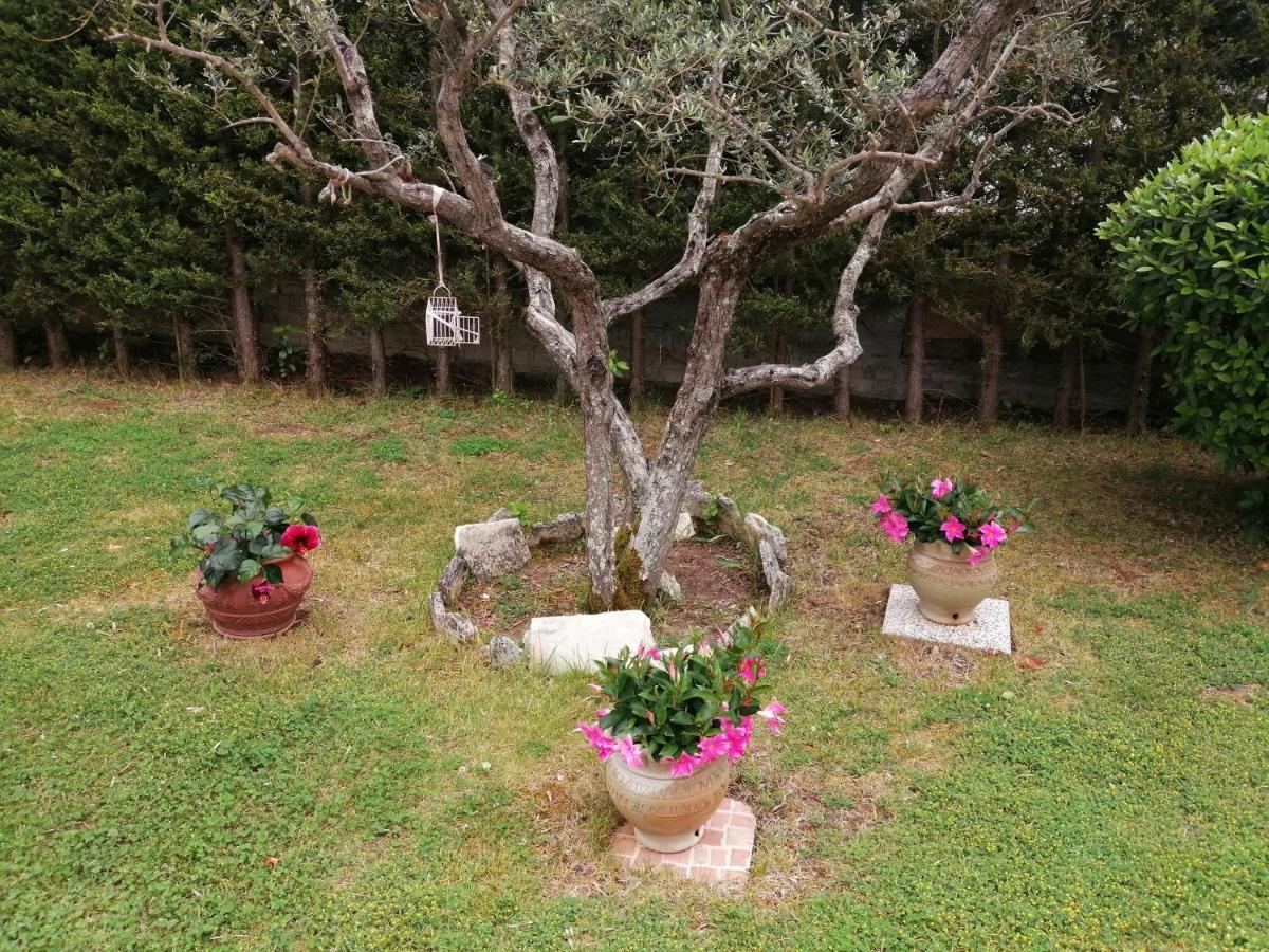B&B Villa Milena Ariano Irpino Kültér fotó