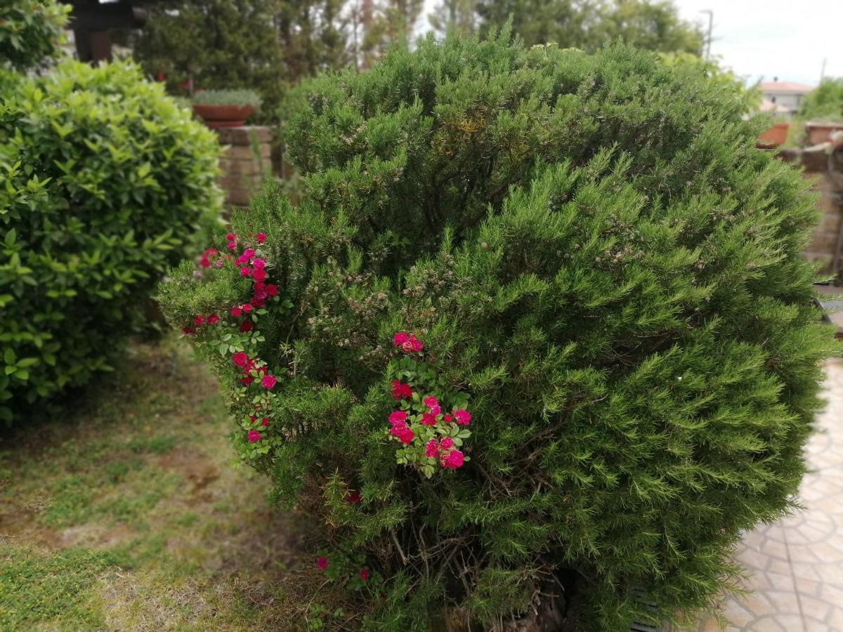 B&B Villa Milena Ariano Irpino Kültér fotó