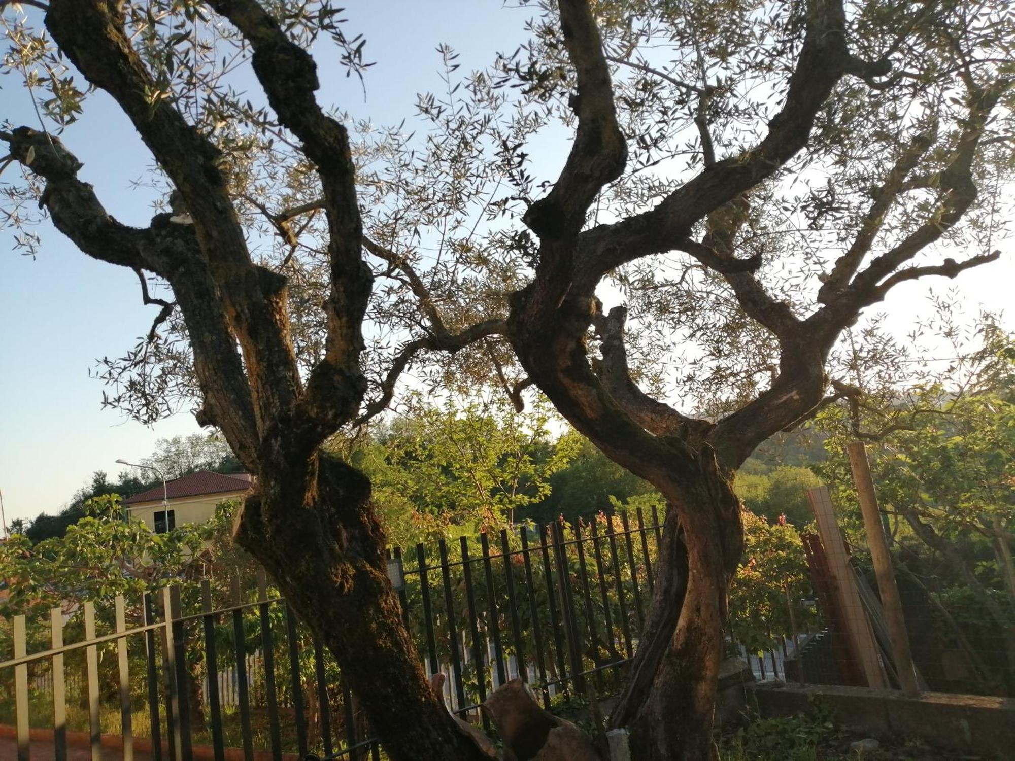 B&B Villa Milena Ariano Irpino Kültér fotó